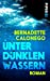 Image of Unter dunklen Wassern: Kriminalroman